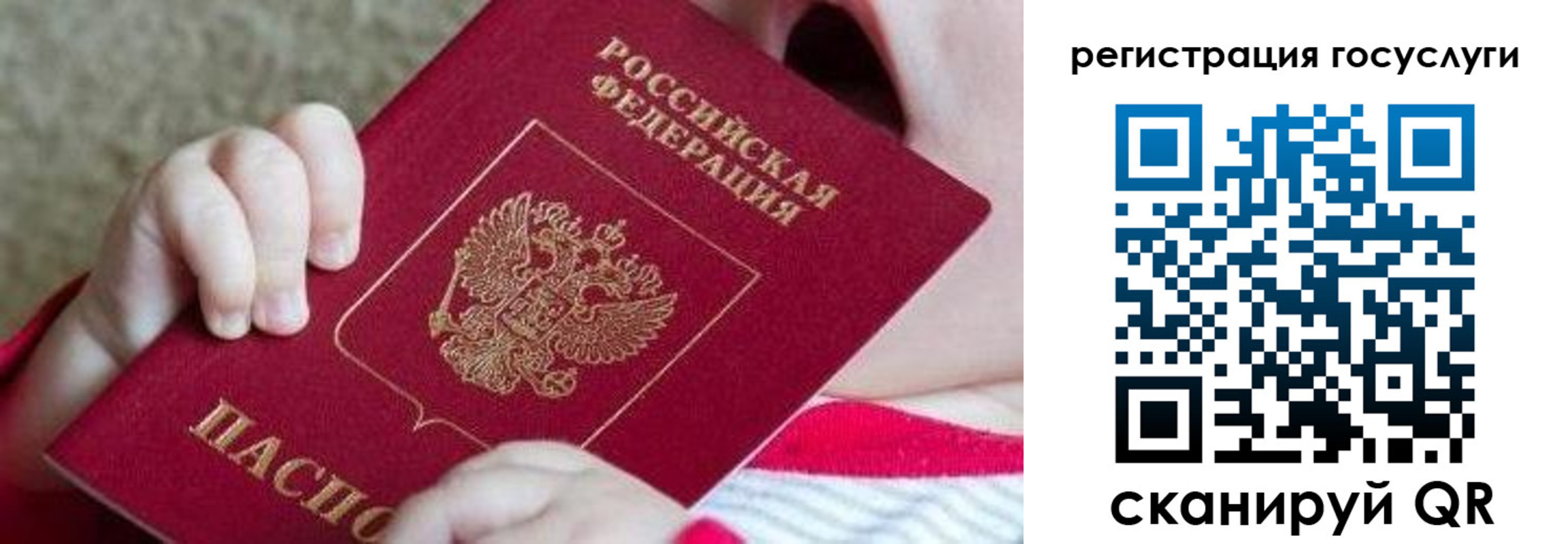 временная регистрация для всех в Мытищах
