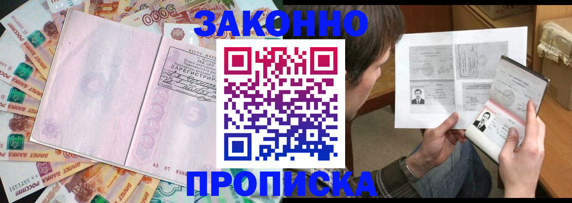 прописка для школы в Мытищах